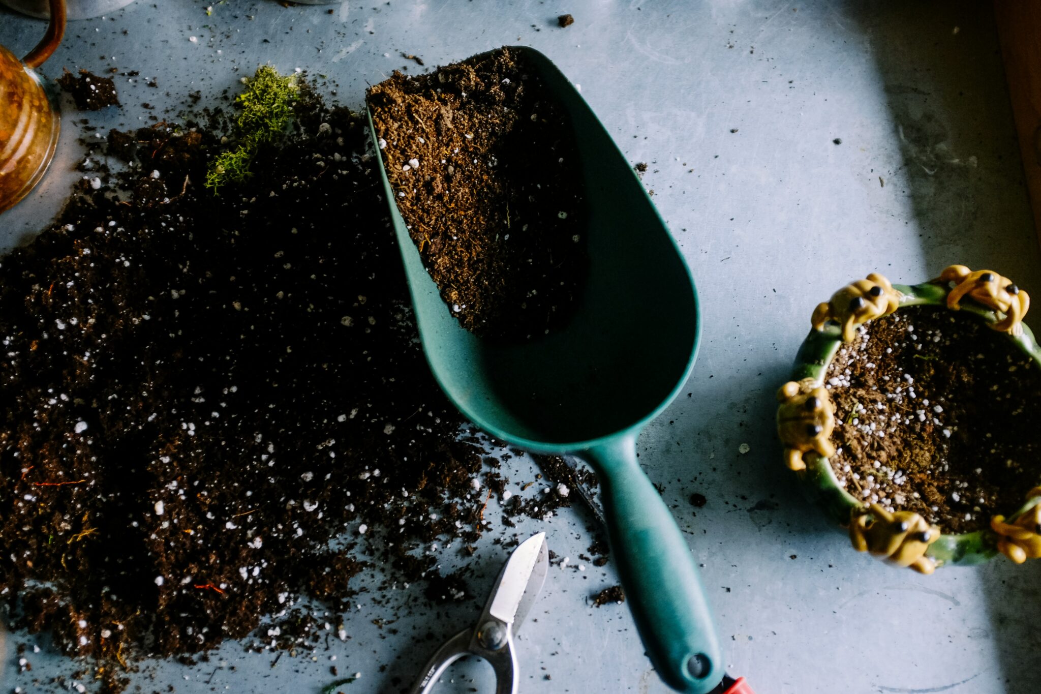 How to Start an Organic Garden at Home – A Step-by-Step Guide